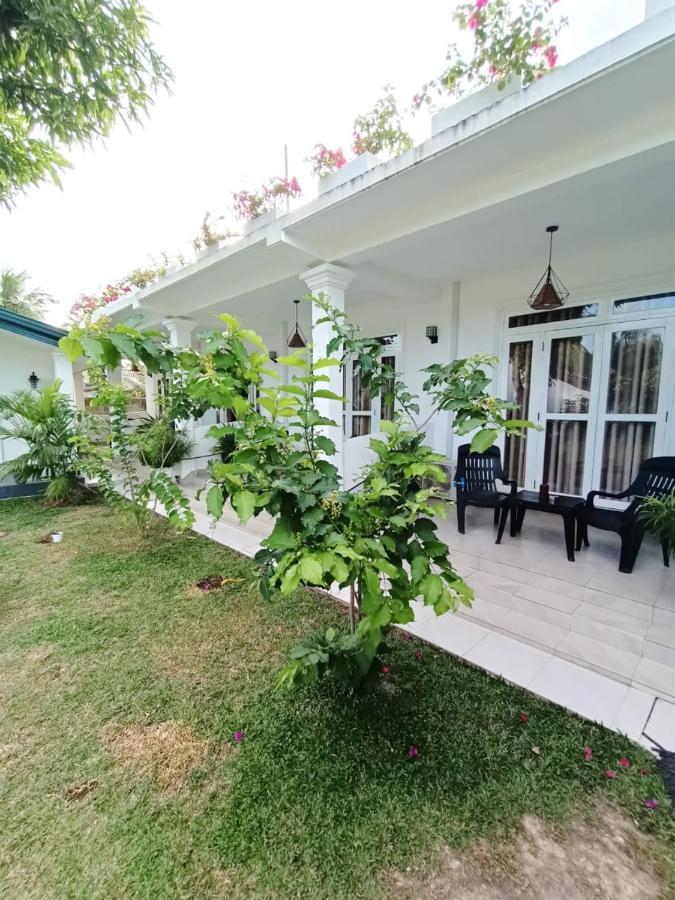 The Bamboo Tree Transit Hotel Katunayaka Dış mekan fotoğraf