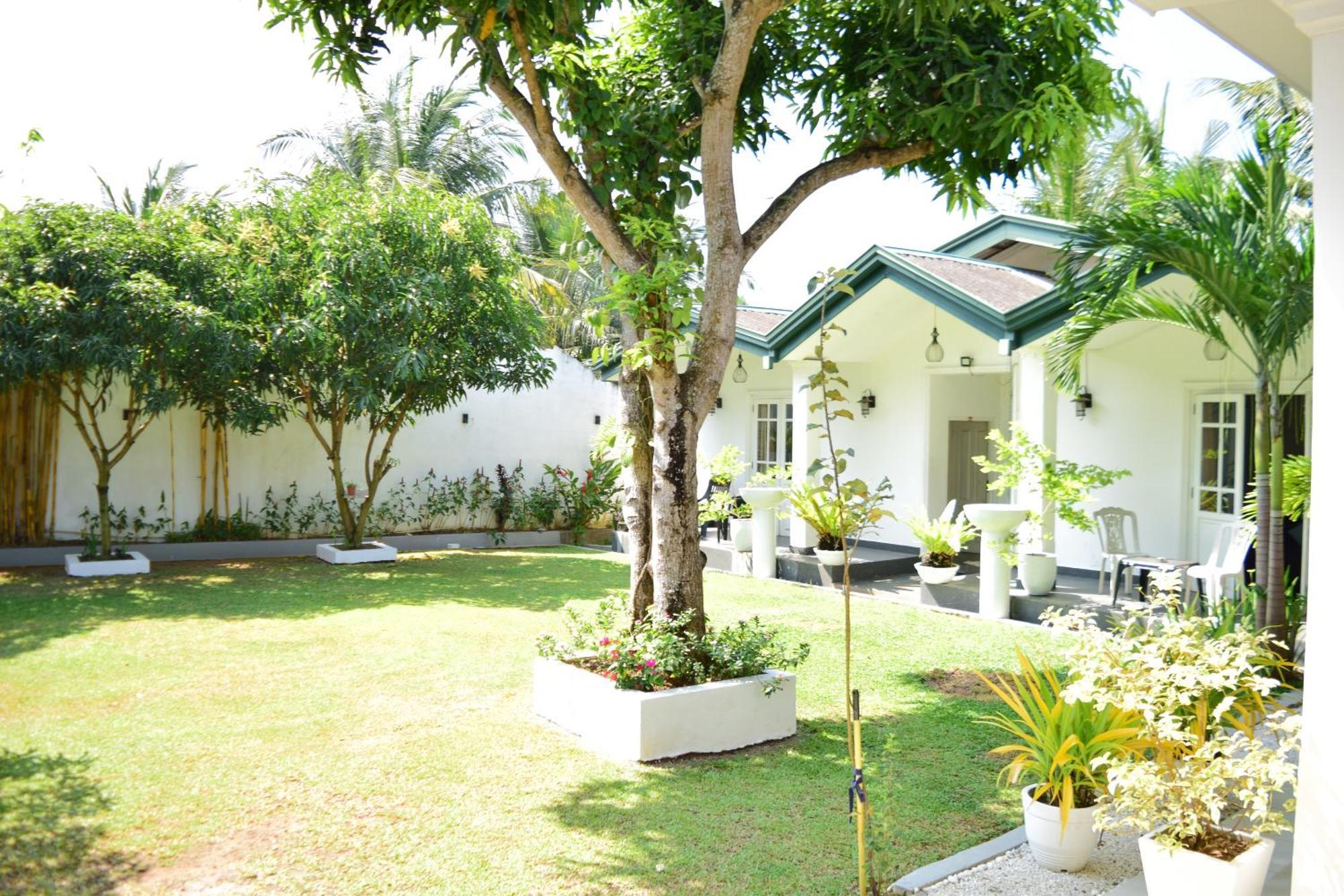 The Bamboo Tree Transit Hotel Katunayaka Dış mekan fotoğraf