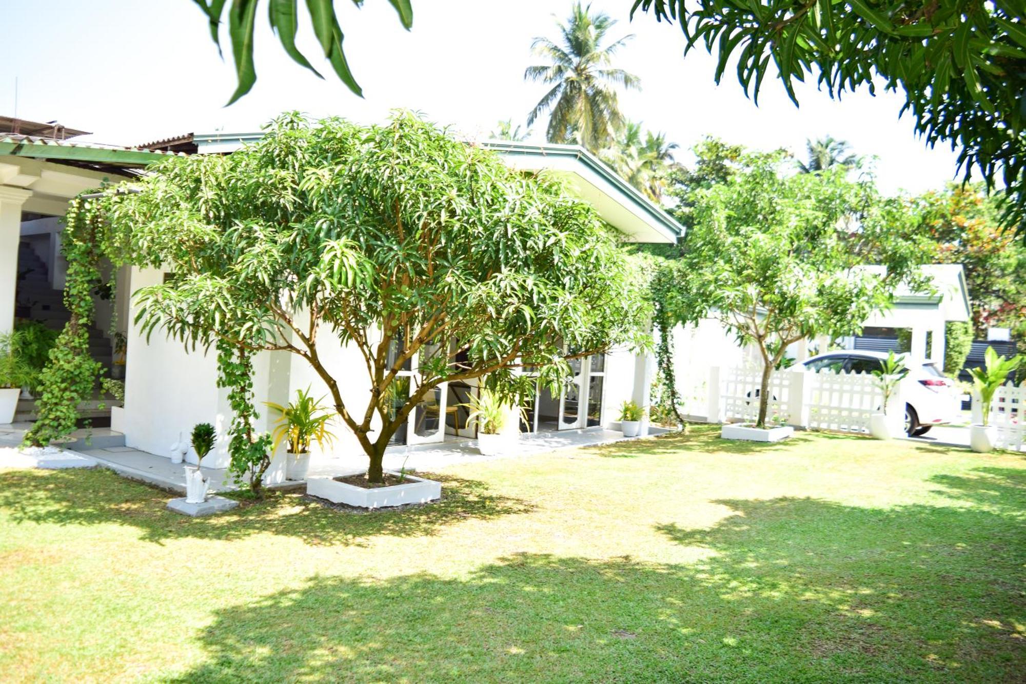 The Bamboo Tree Transit Hotel Katunayaka Dış mekan fotoğraf