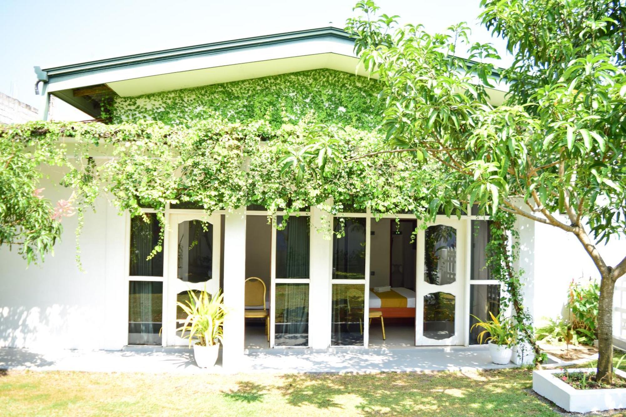The Bamboo Tree Transit Hotel Katunayaka Dış mekan fotoğraf