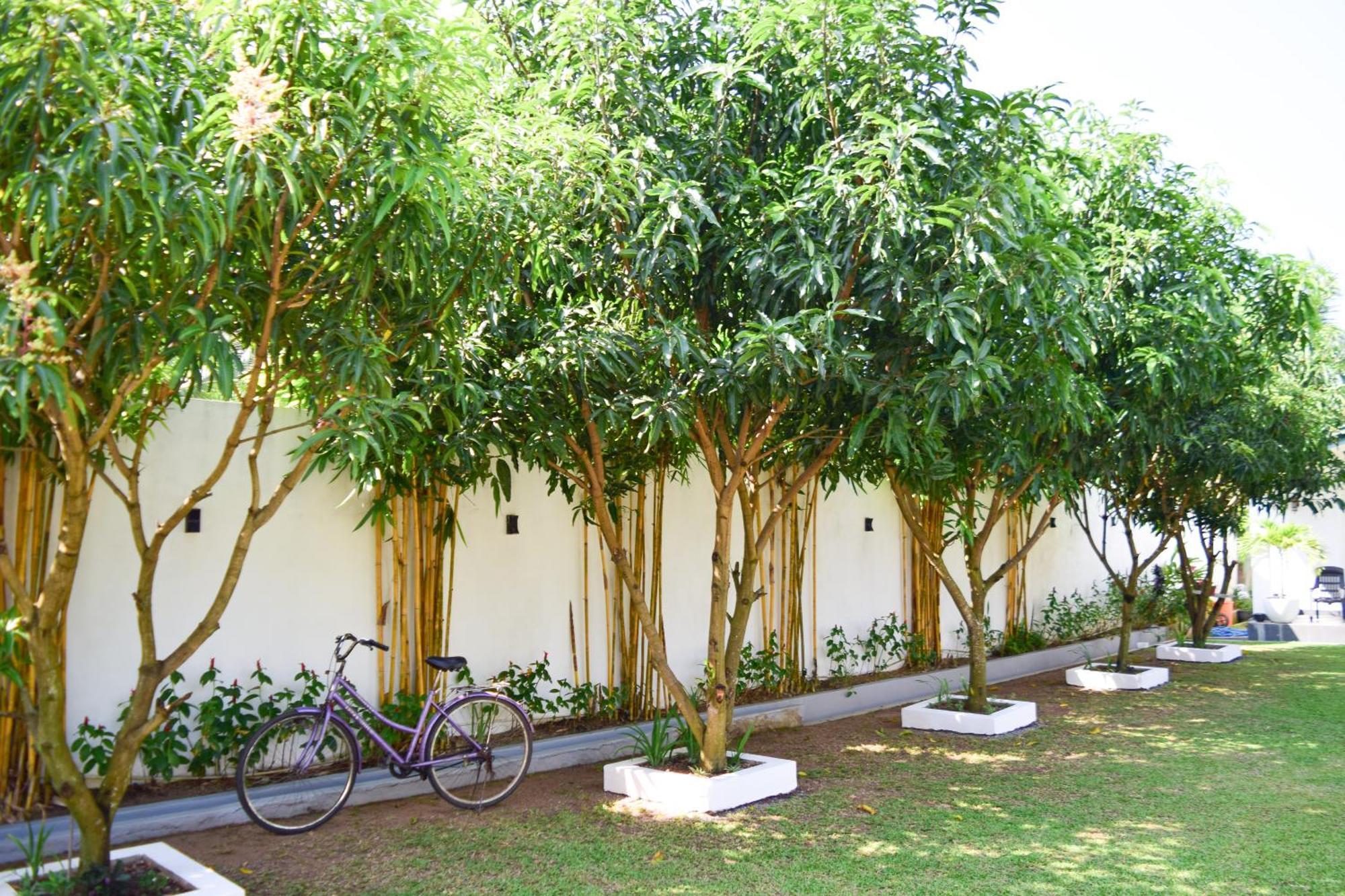 The Bamboo Tree Transit Hotel Katunayaka Dış mekan fotoğraf